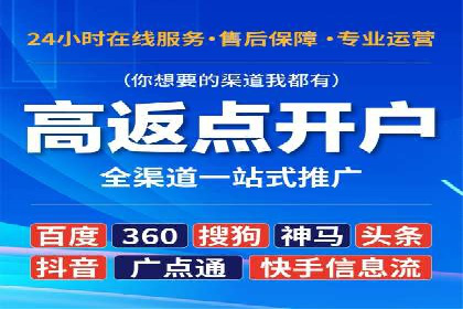 SEM主管实战：案例分析与优化策略
